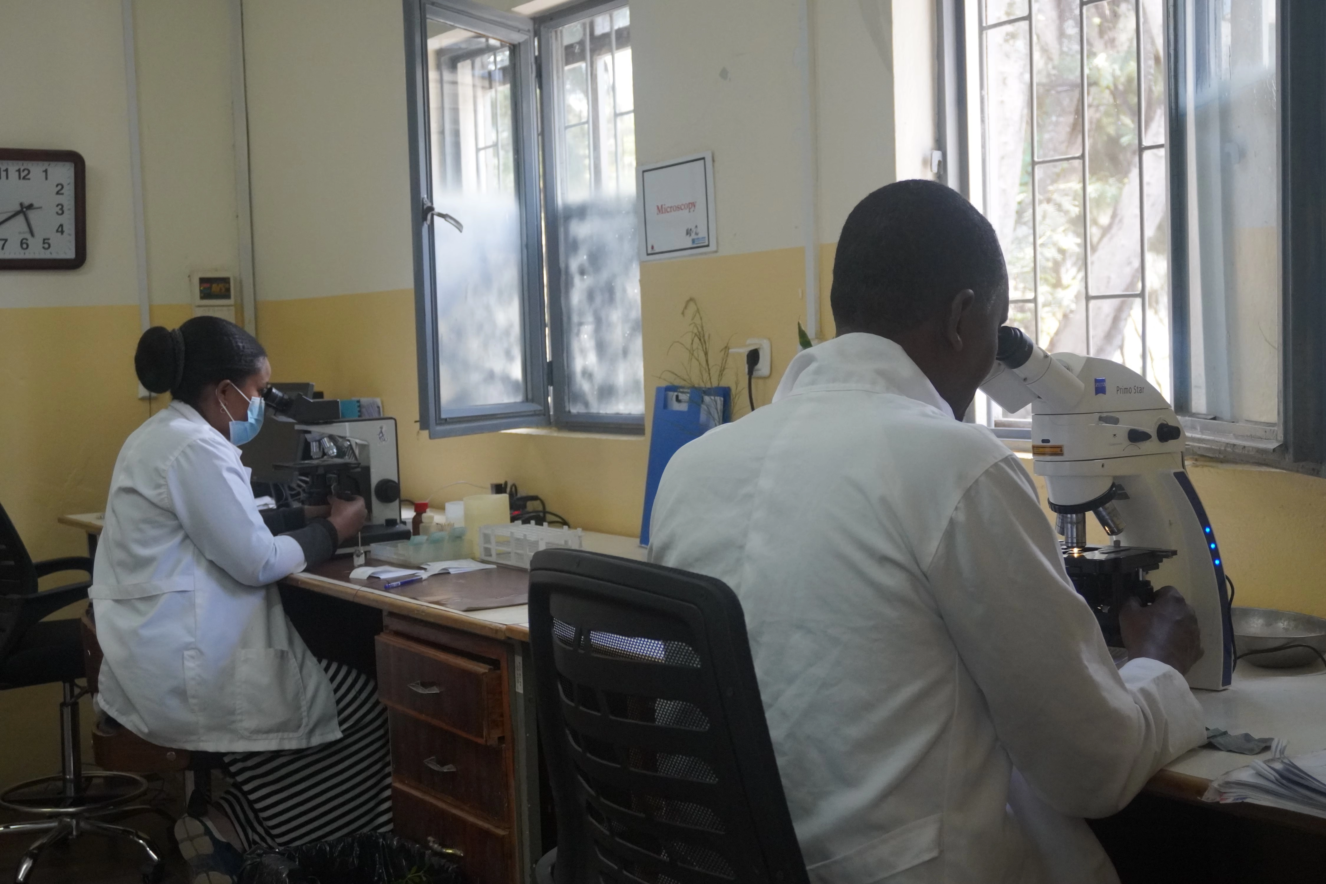 Microscope Analysis