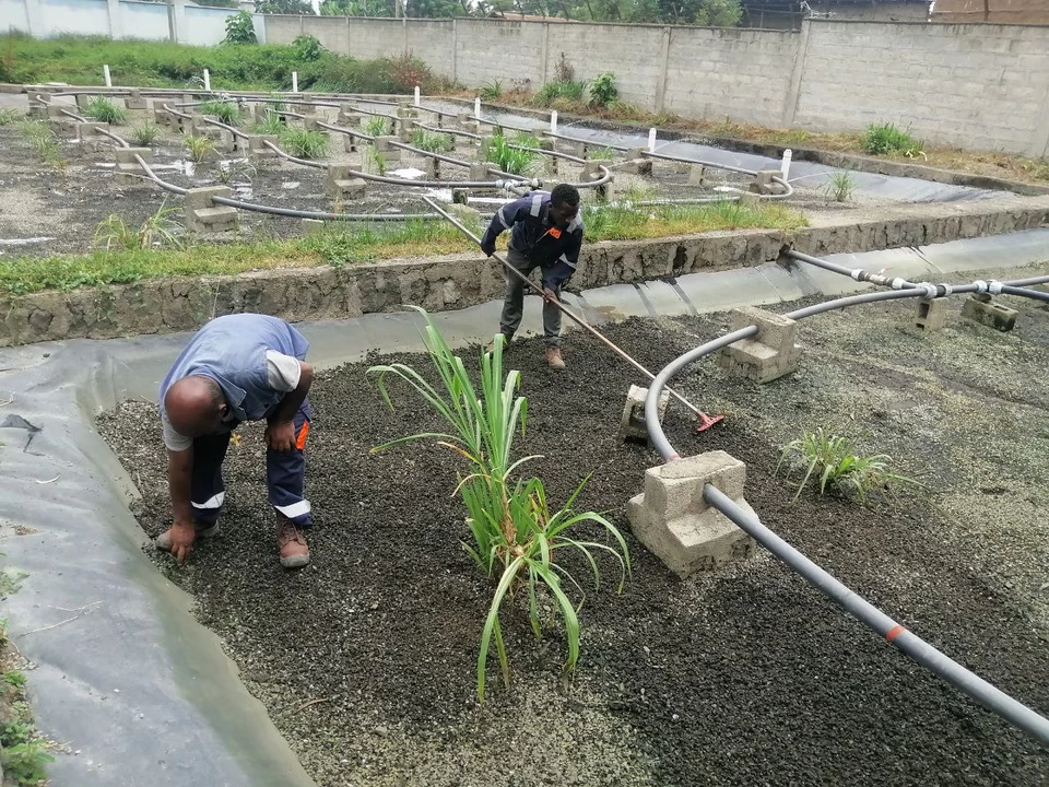Water recycling system at Bushulo